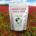Crimson Clover, Over & Over (Trifolium Incarnatum) Seed