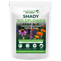 Shady Wildflower Mix