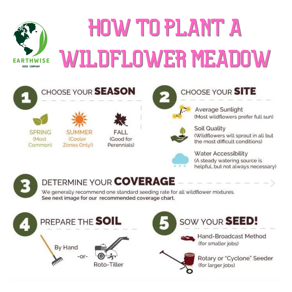 Knee High Wildflower Meadow Blend