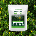 Earthwise Yellow Brick Lawn™ Natural Low Growing Lawn Seed