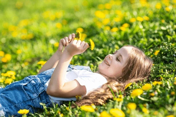 DandiPure™ – Wild Dandelion Seed | Pollinator-Friendly, Edible, Chemical-Free Lawn