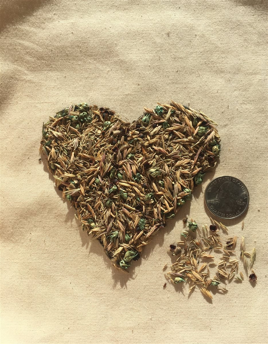 Meadowscaping Mix Alternative Lawn Seed — for Low-Maintenance, Eco-Friendly Lawns