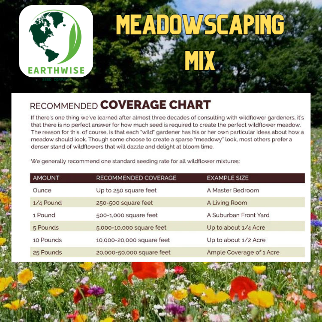 Meadowscaping Mix Alternative Lawn Seed — for Low-Maintenance, Eco-Friendly Lawns